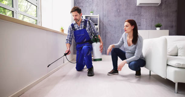 Best Real Estate Pest Inspections  in North Hills, NY